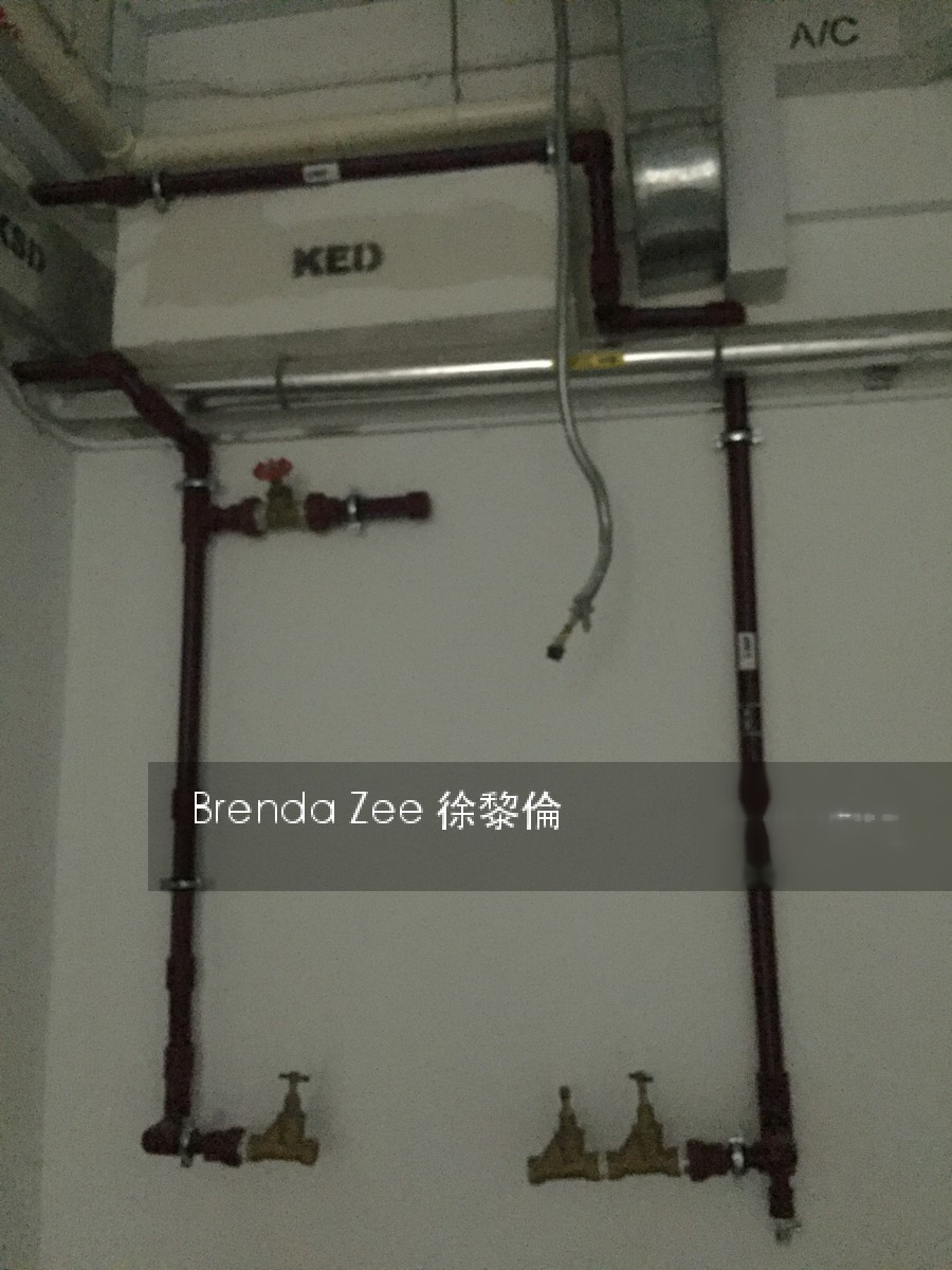 Kap (D21), Retail #179347862